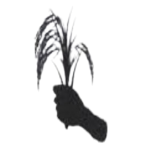 नागरिक सर्वोच्चता पार्टी नेपाल(एकल चुनाव चिन्ह)