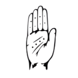 नेपाल सद्भावना पार्टी