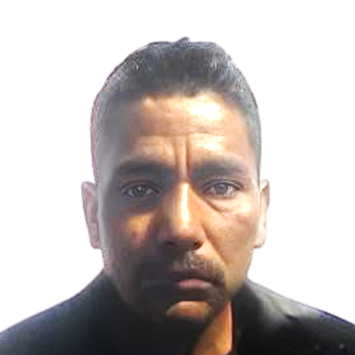 कटक बहादुर शाही